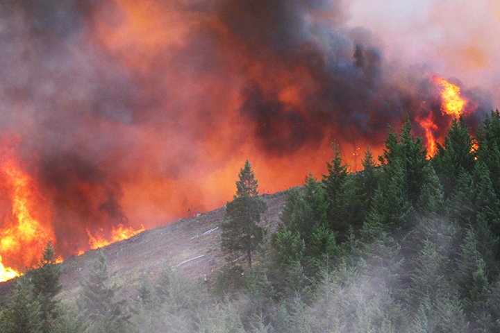 Climate in Crisis: How Wildfires, Floods, and Heatwaves Are Forcing a National Reckoning