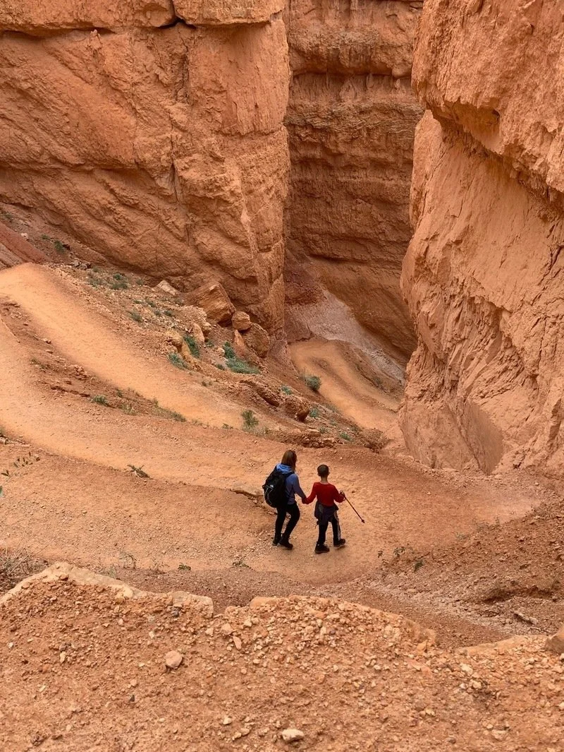 Unplugged Adventure: Discovering the Secret Hiking Trails and Parks in Your Own Backyard